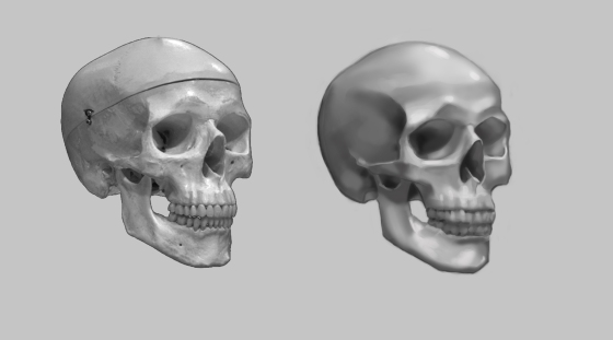 Skull Practice 1